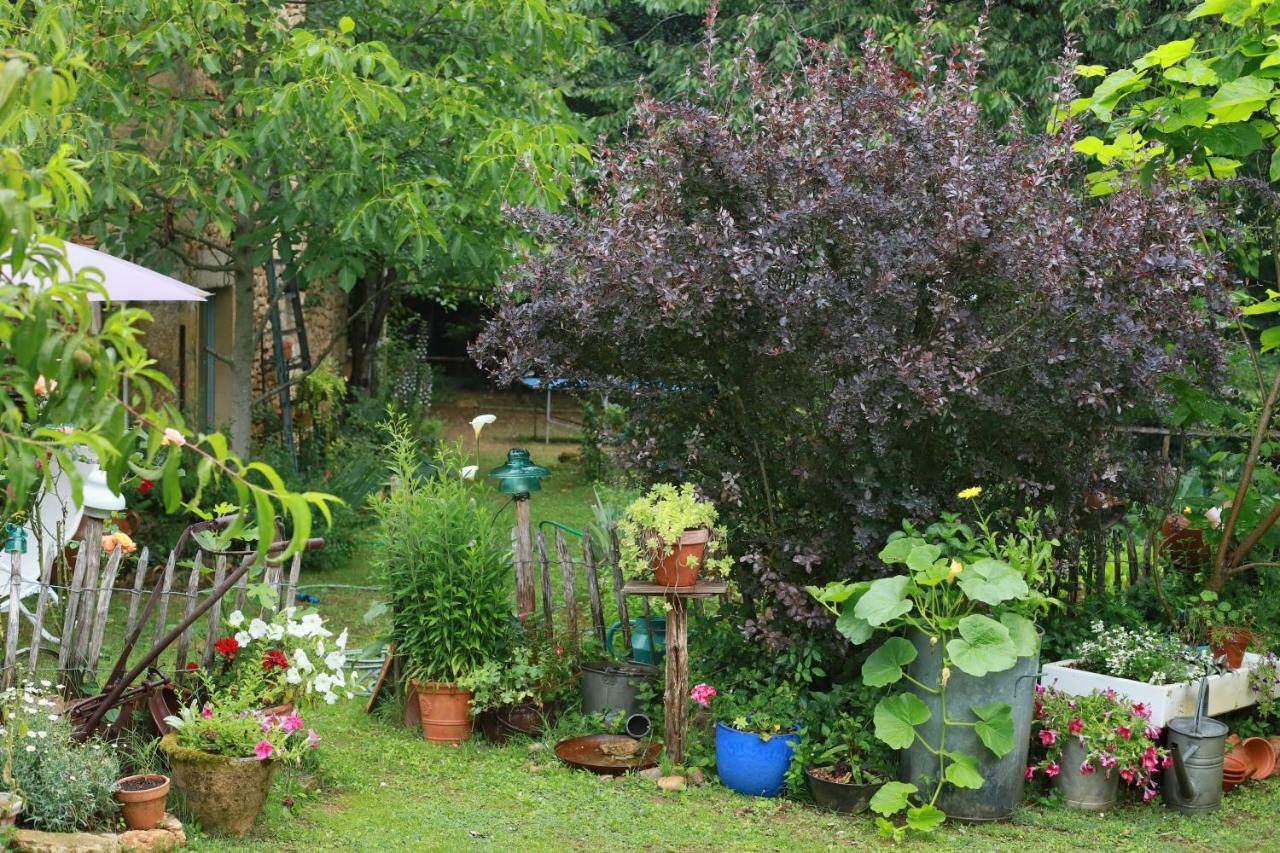 Gite Les Truffieres Trémolat Exterior foto